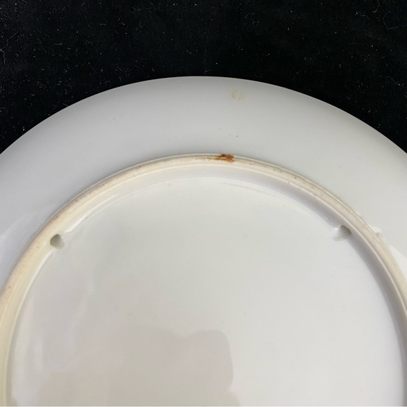 Vintage, 8.25” New Mexico Souvenir State China Hanging Plate - Picture 15 of 16